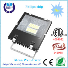 ETL SAA Certified Mean Well Driver Chip SMD IP65 100 watts saa luz de inundação LED